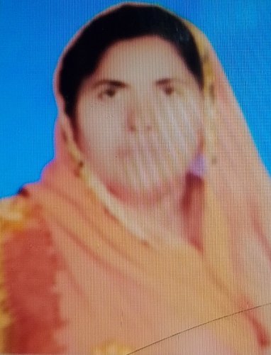 Card Holder